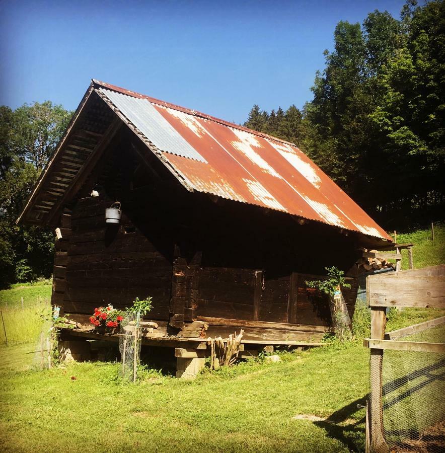 Ferme Familiale Chez Lili Vila Alex Exterior foto
